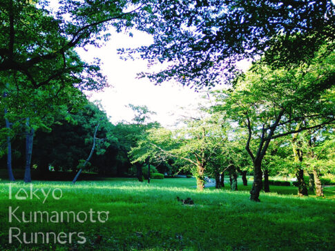 Tokyo Kumamoto Runners トウキョウクマモトランナーズ　熊本県　東京都　首都圏　代々木公園